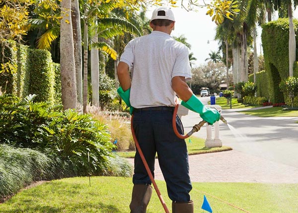 About Woodland MI Pest Control